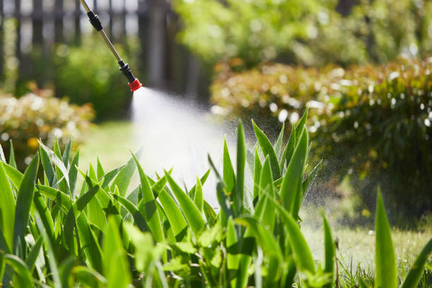 24/7 Emergency Wasp Removal experts in Farmersburg, IN