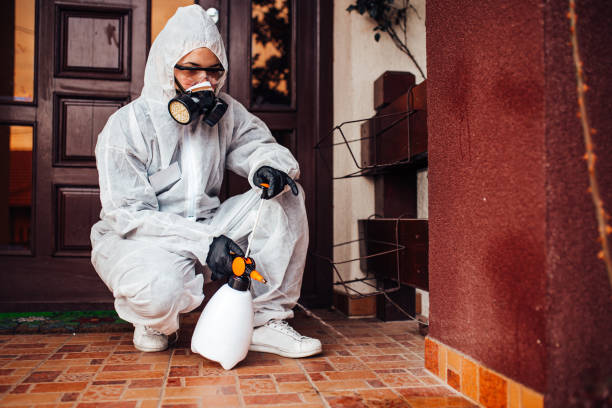 Reliable Wasp Removal contractor in Farmersburg, IN by Show Me Pest Control